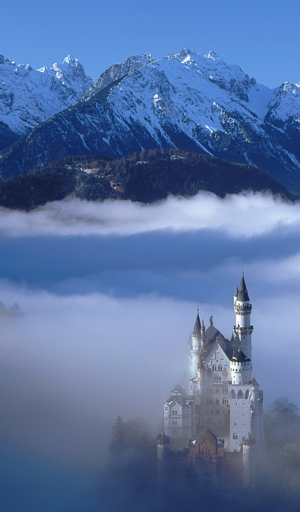 Castle in the Alps