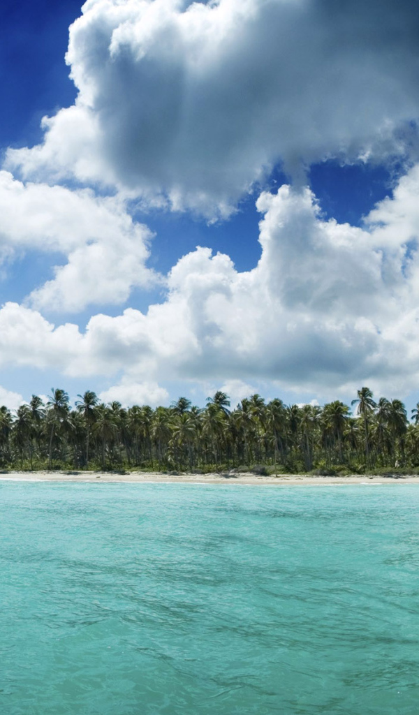 Гавайский берег