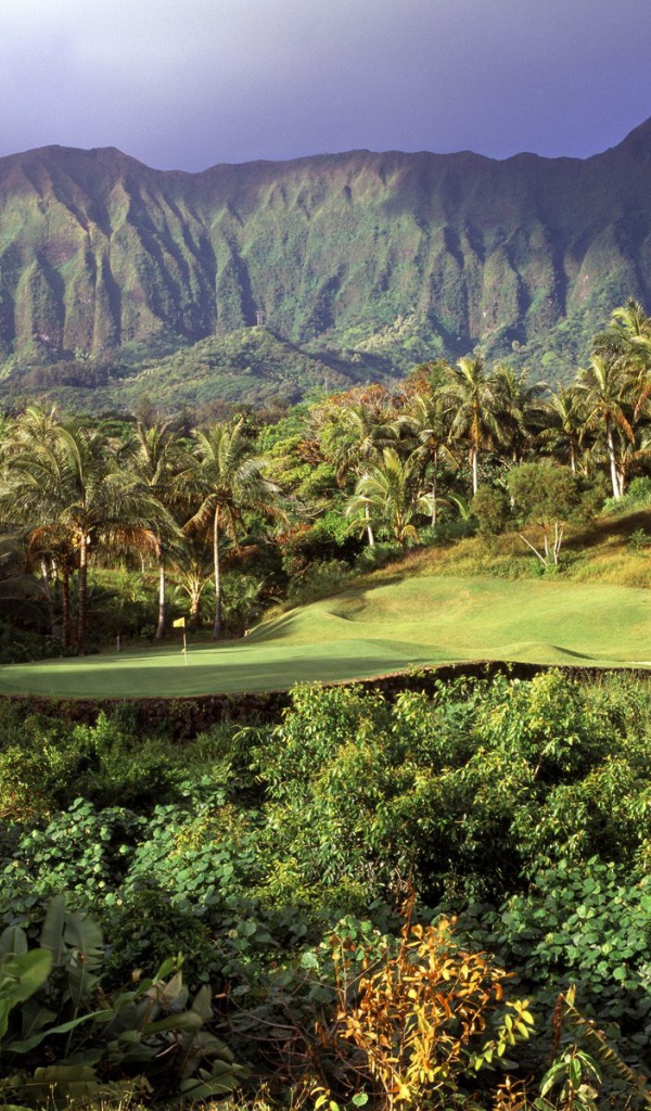 Гавайская растительность