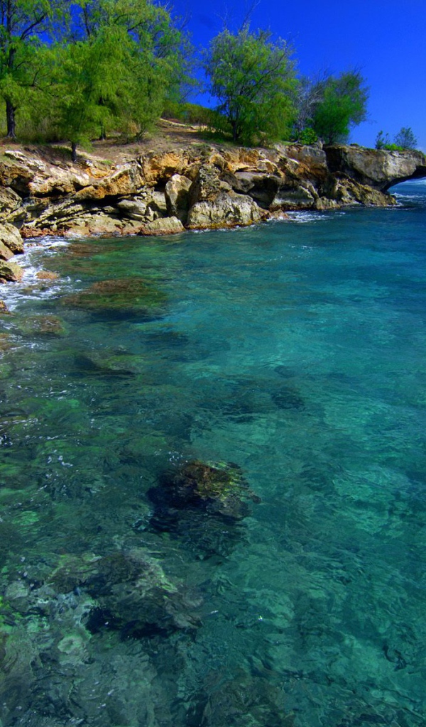 Скалистый берег