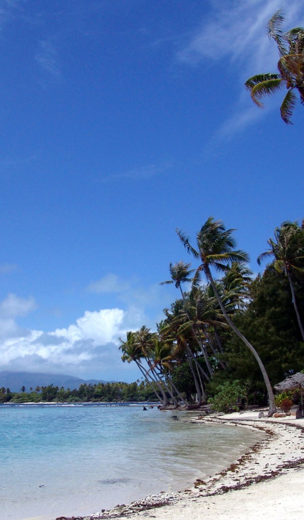 Отдых на Мальдивах