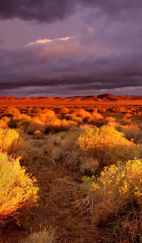 долина Antelope