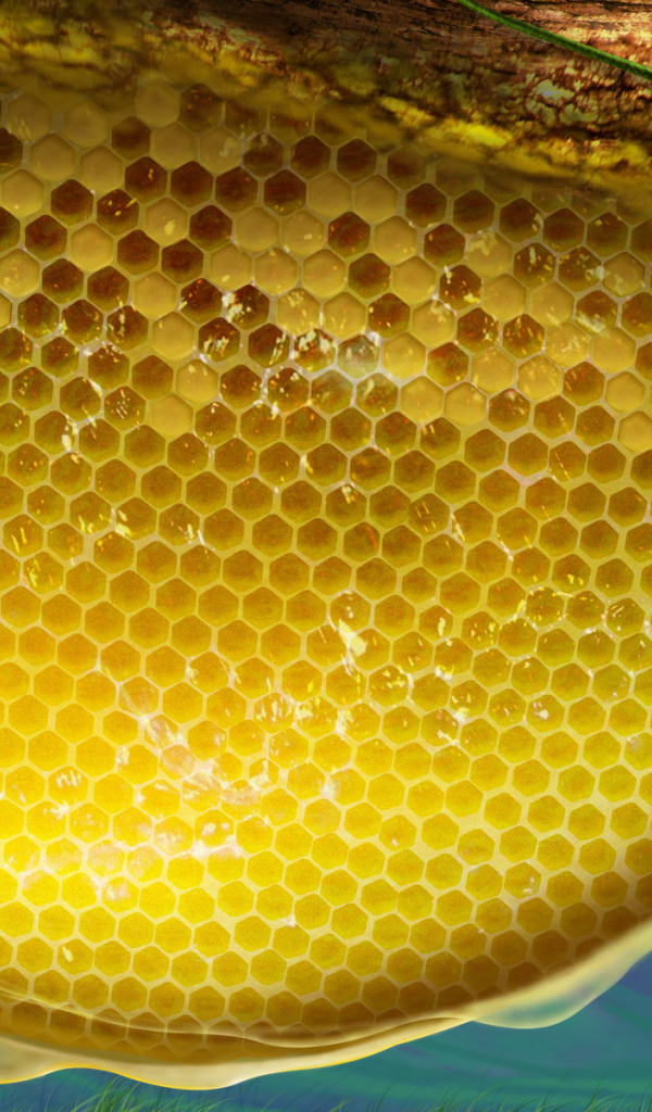 Пчелы и соты