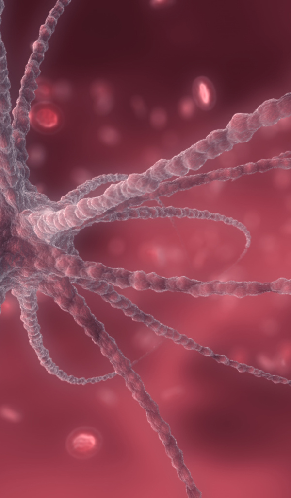 Кровяные тельца