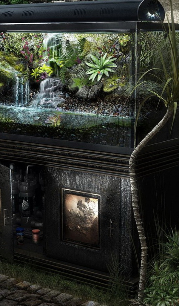 Домашние джунгли