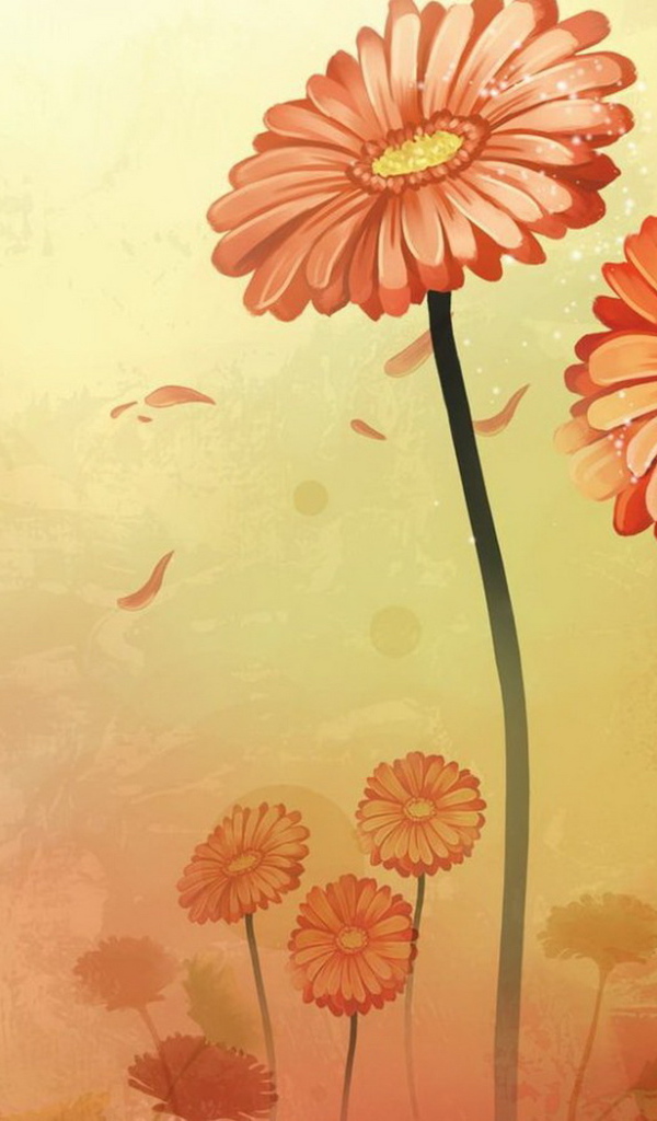 Оранжевые цветы