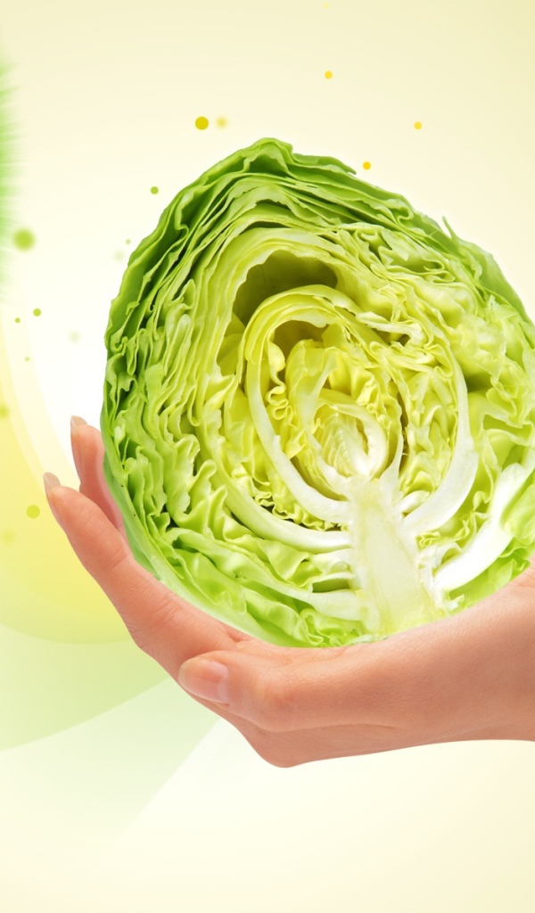 Качан капусты