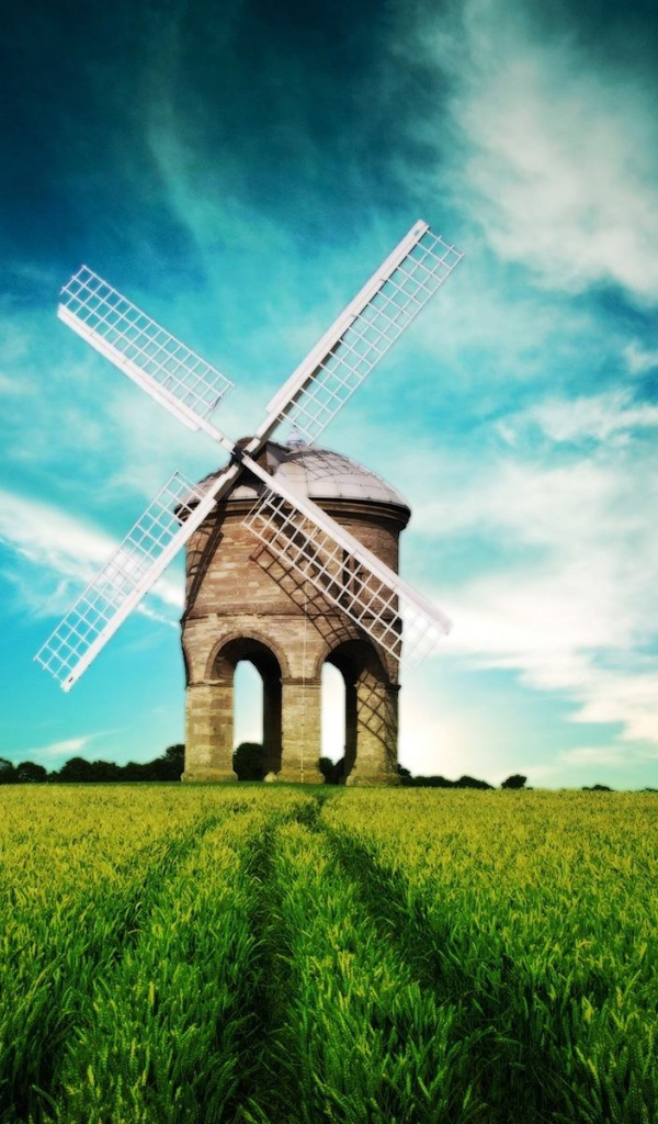 Необычная мельница