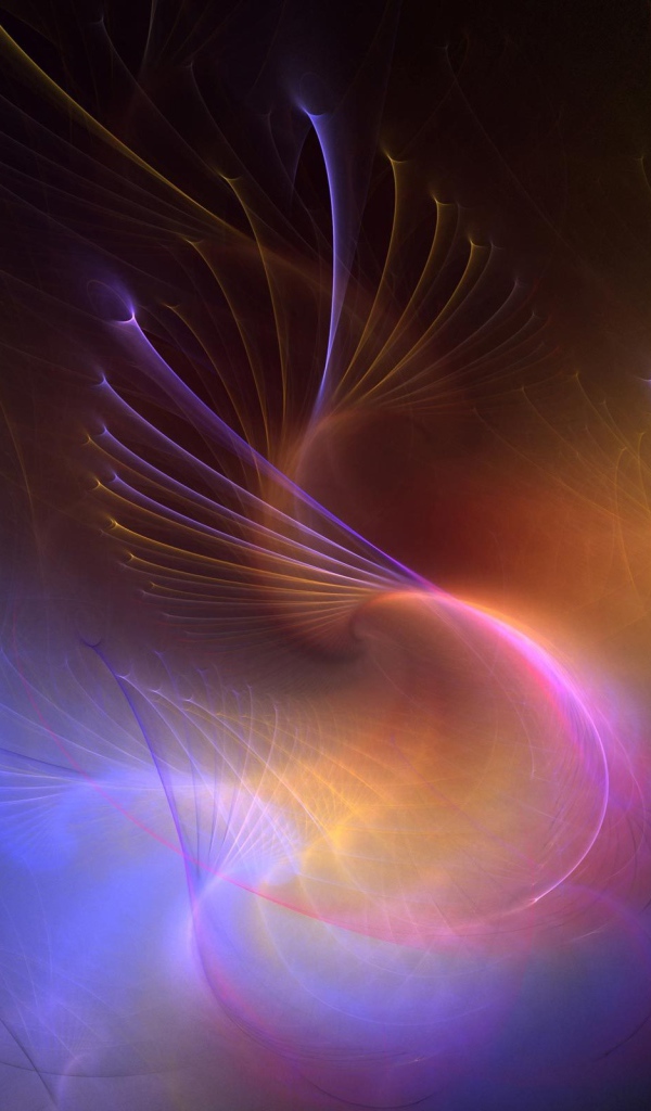 Разнообразие линий