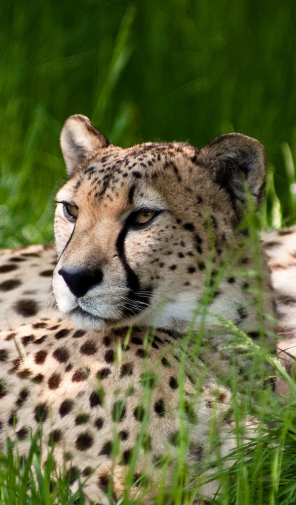 Отдыхающие 