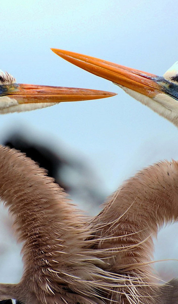 Танец любви