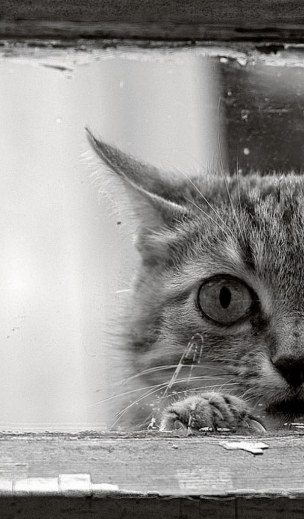 Возле окошка