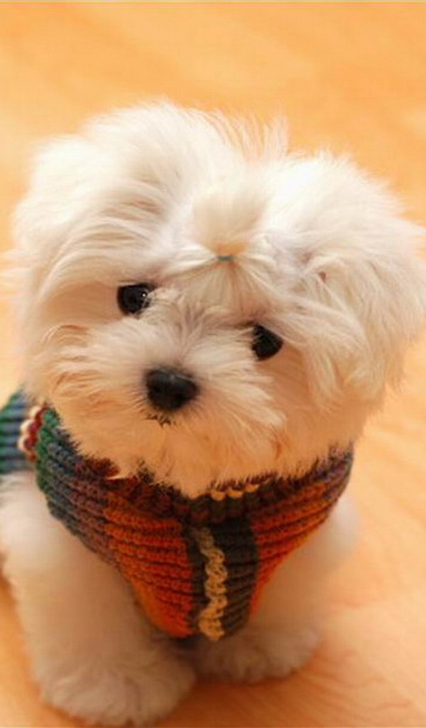 Игрушечный щенок