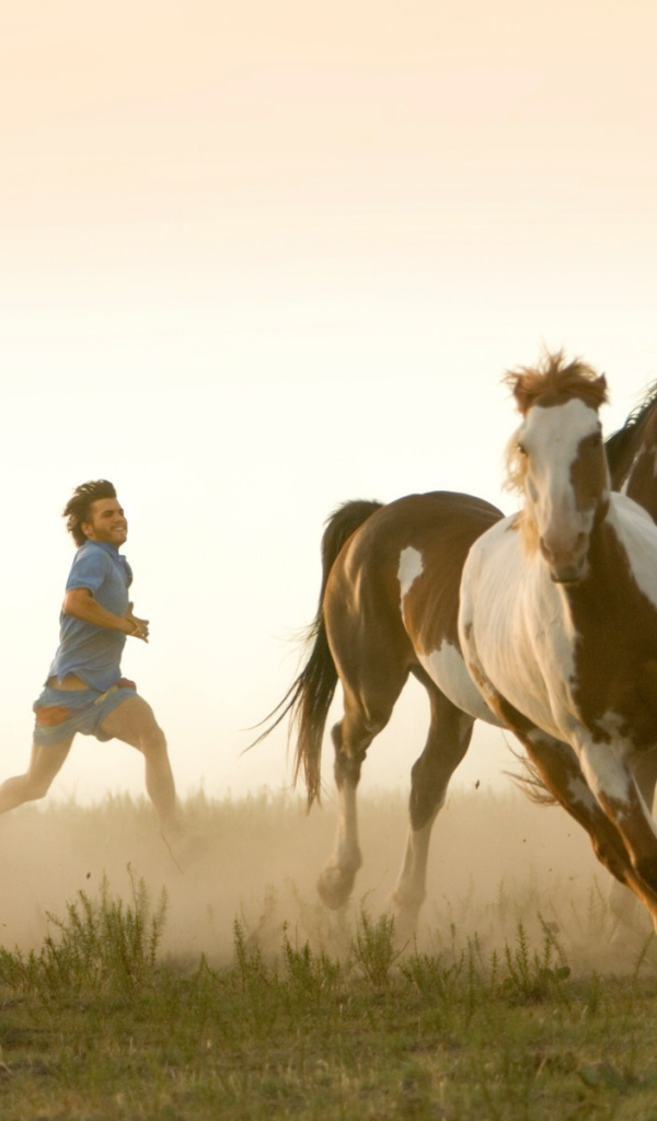 Пробежка с табуном