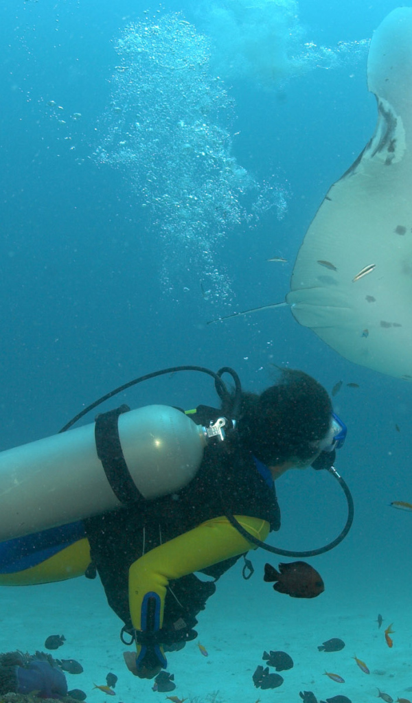 Дайвер и скат