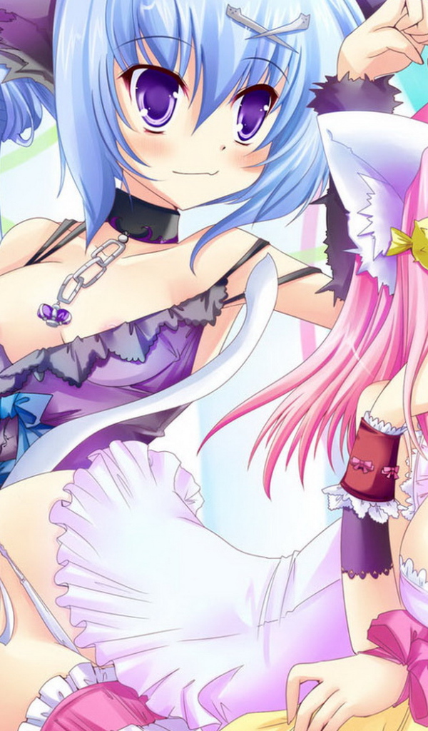 Парочка кошечек