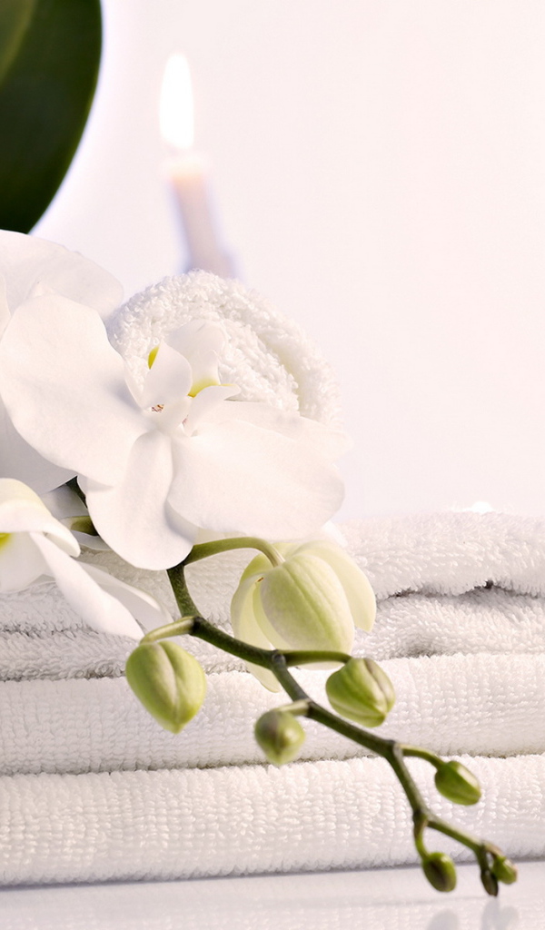 Чистые полотенца