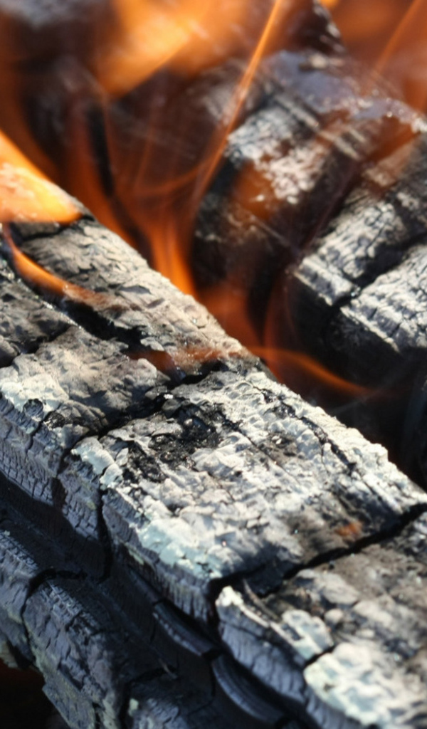 Догорающий костер