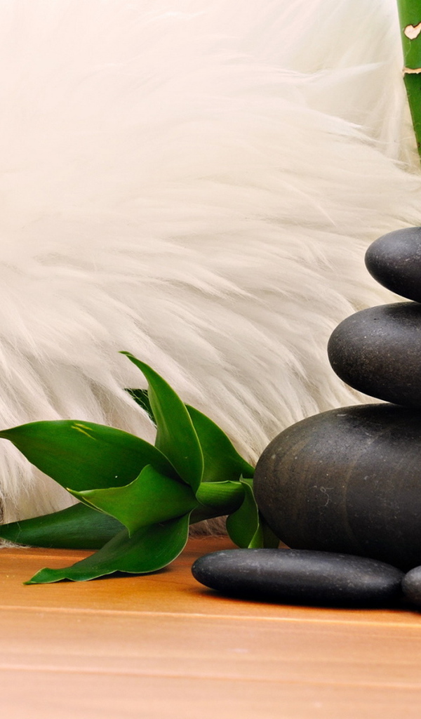 Мех, камни, тростник