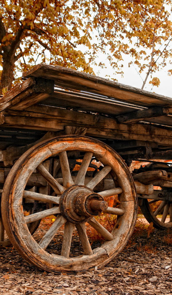 Старая телега