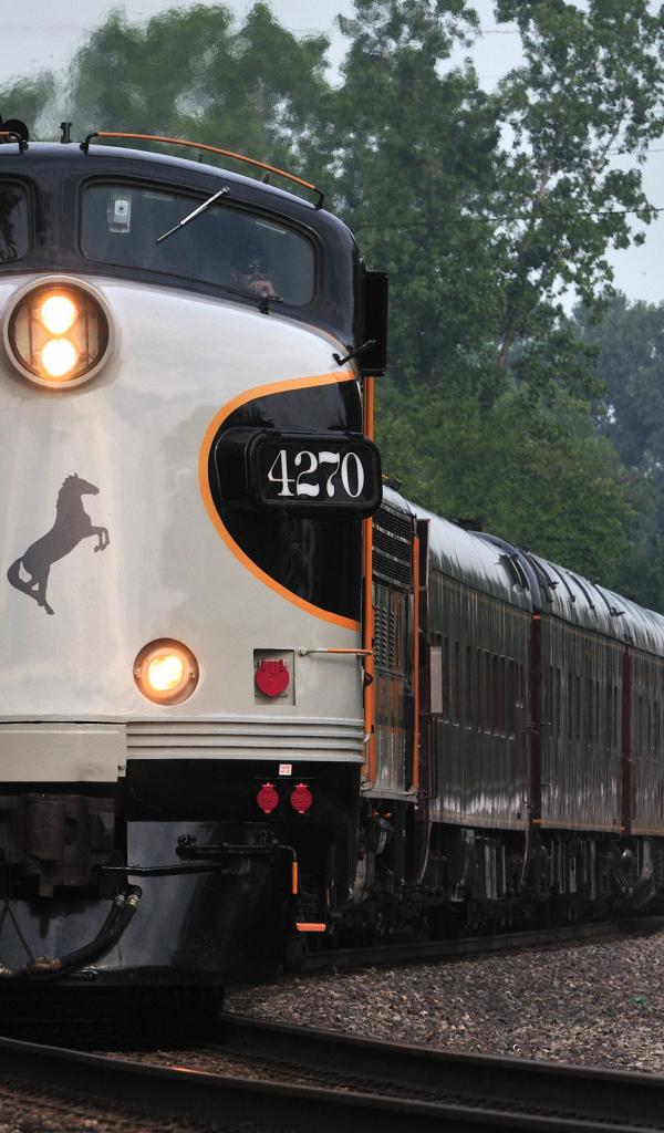 Пассажирский поезд