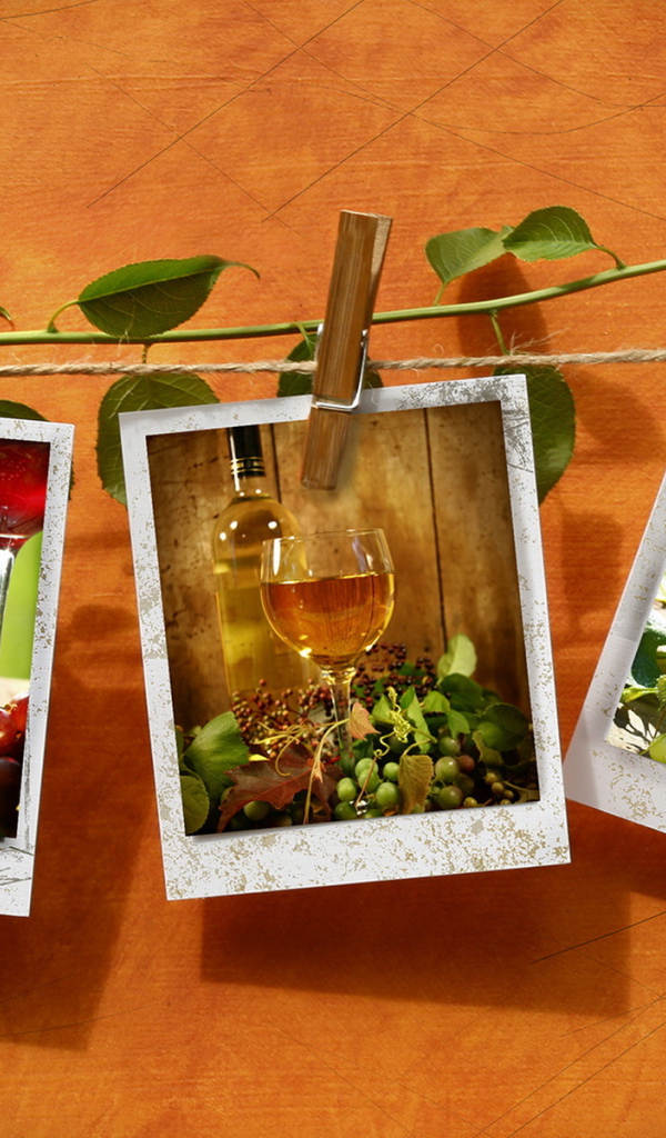 Фотографии