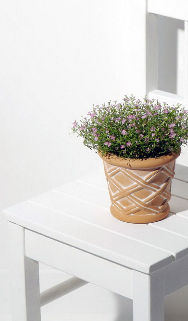 Горшок с цветком на стуле