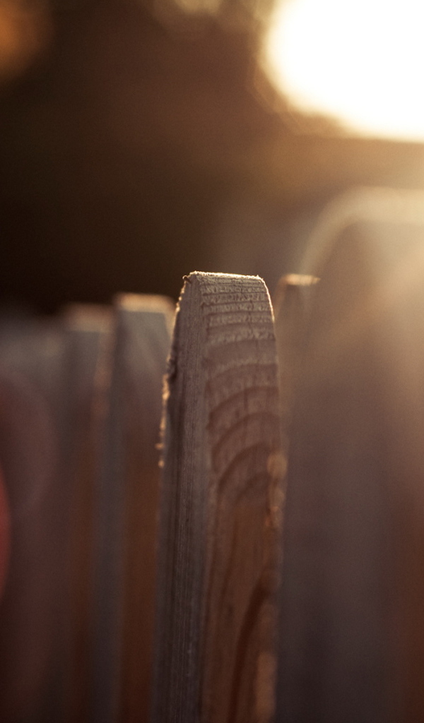 Деревянный забор