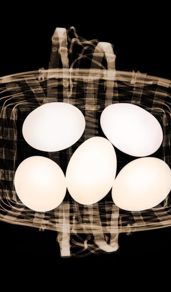 Сканер сумки