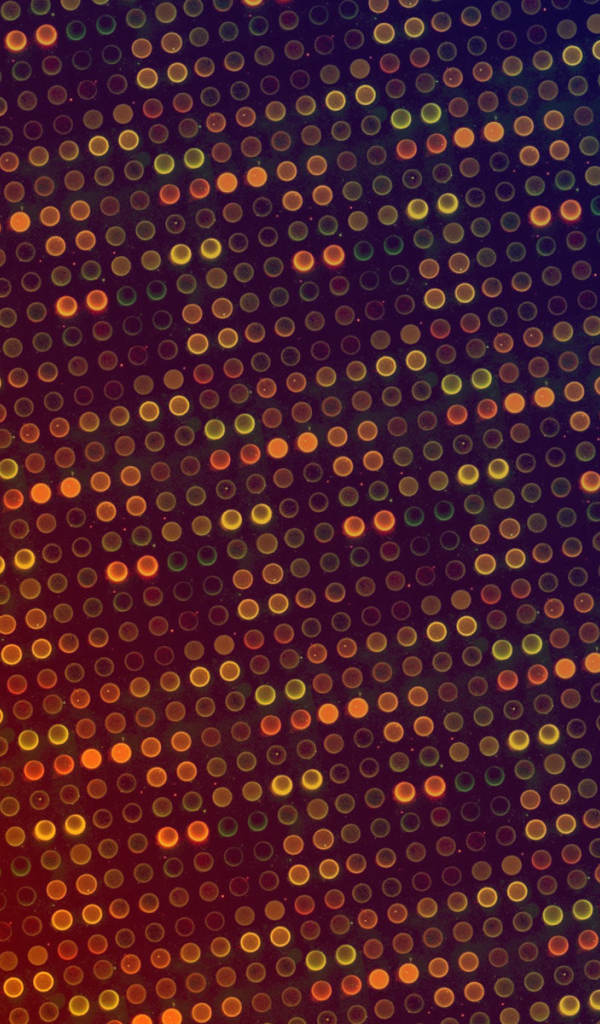 2010 лампочки