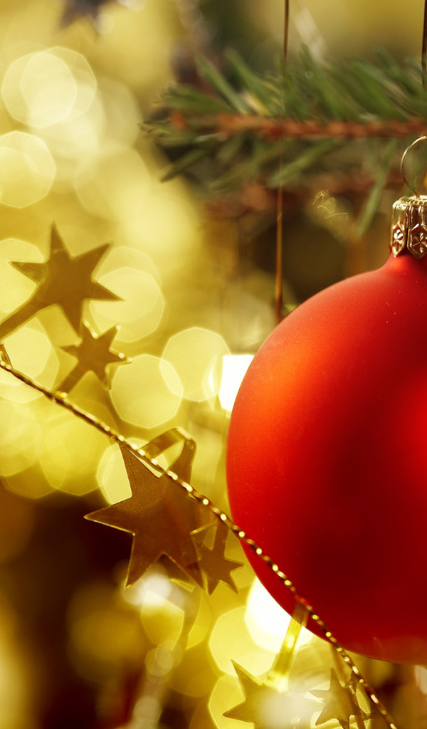 Празднуем Новый 2011 Год