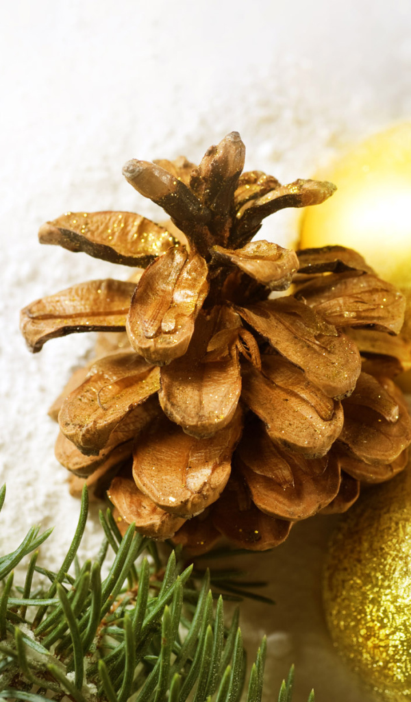 Новогодние игрушки и шишка