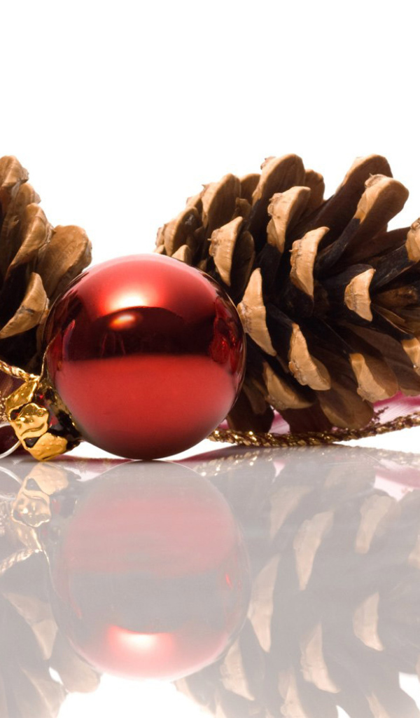 Стеклянные шары и шишки