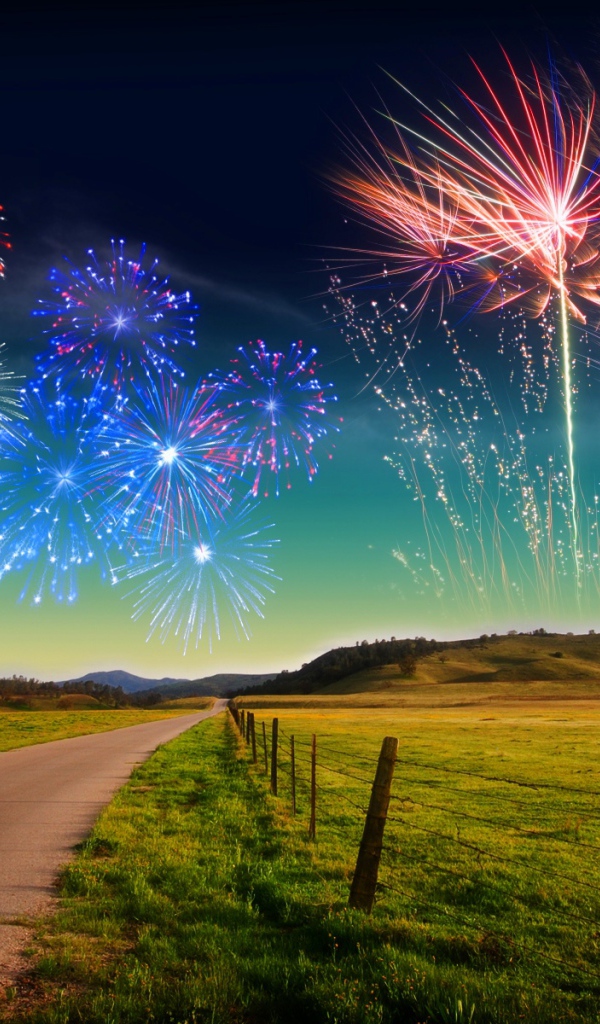 Фейерверк Новый Год 2011