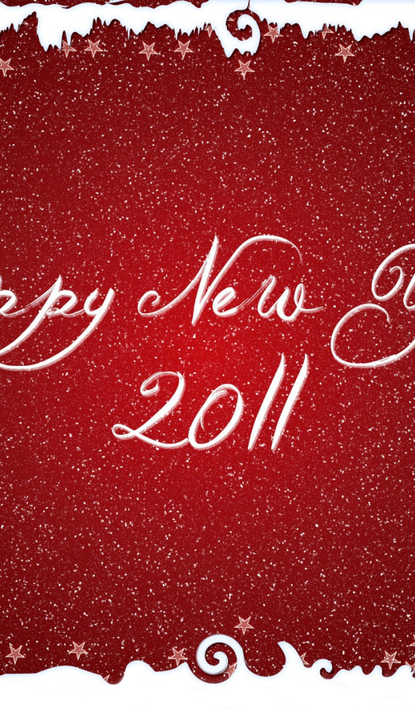 Новый Год 2011