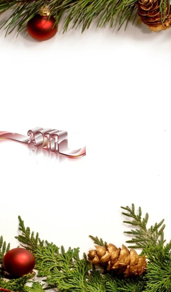 Новый Год 2011