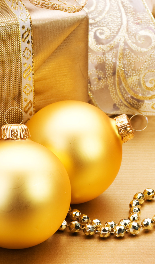 Празднование Нового Года 2011