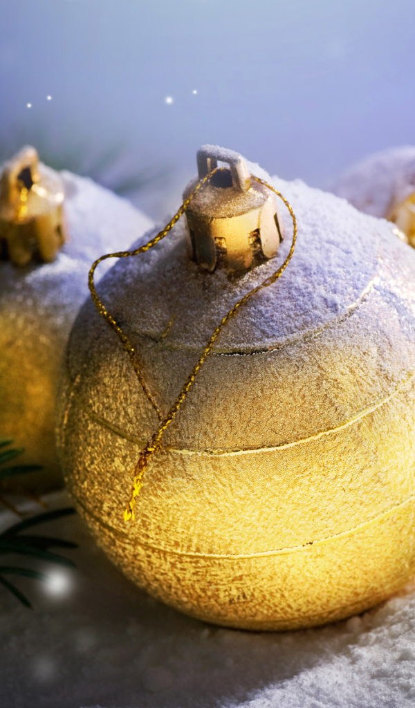 Зима 2011 Новый Год