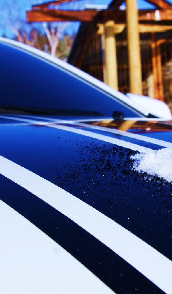 Клубника на капоте