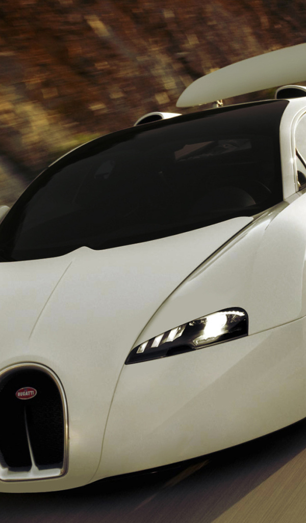 White Bugatti Veyron