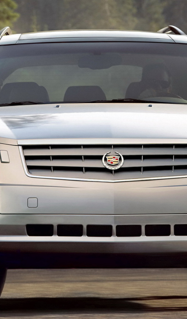 Кадиллак СРХ в лесном массиве