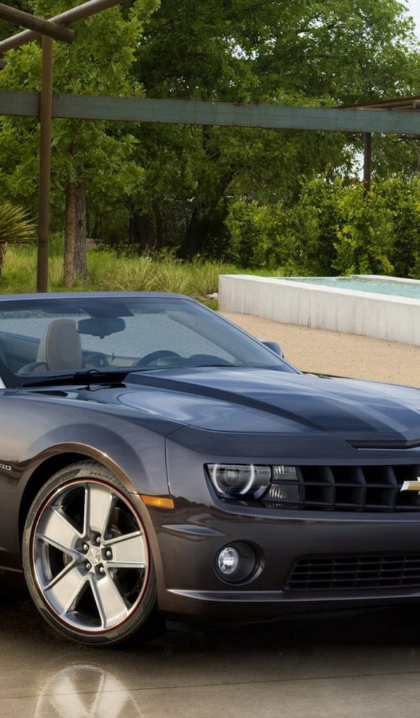Chevrolet-Camaro Convertible