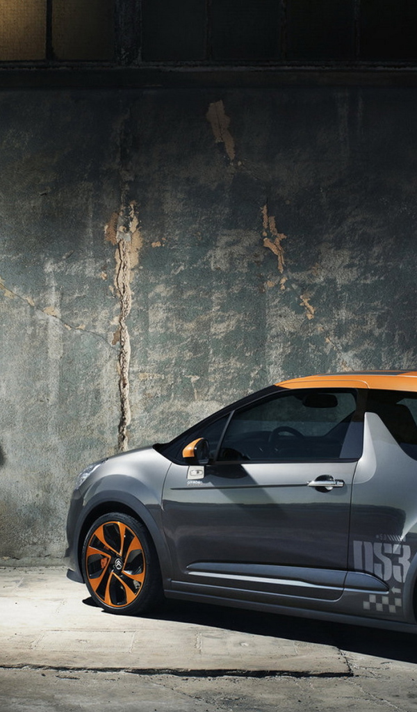 Citroen DS3 Racing в ангаре