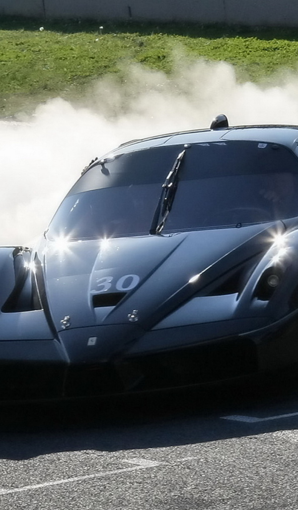 Феррари FXX на гонке