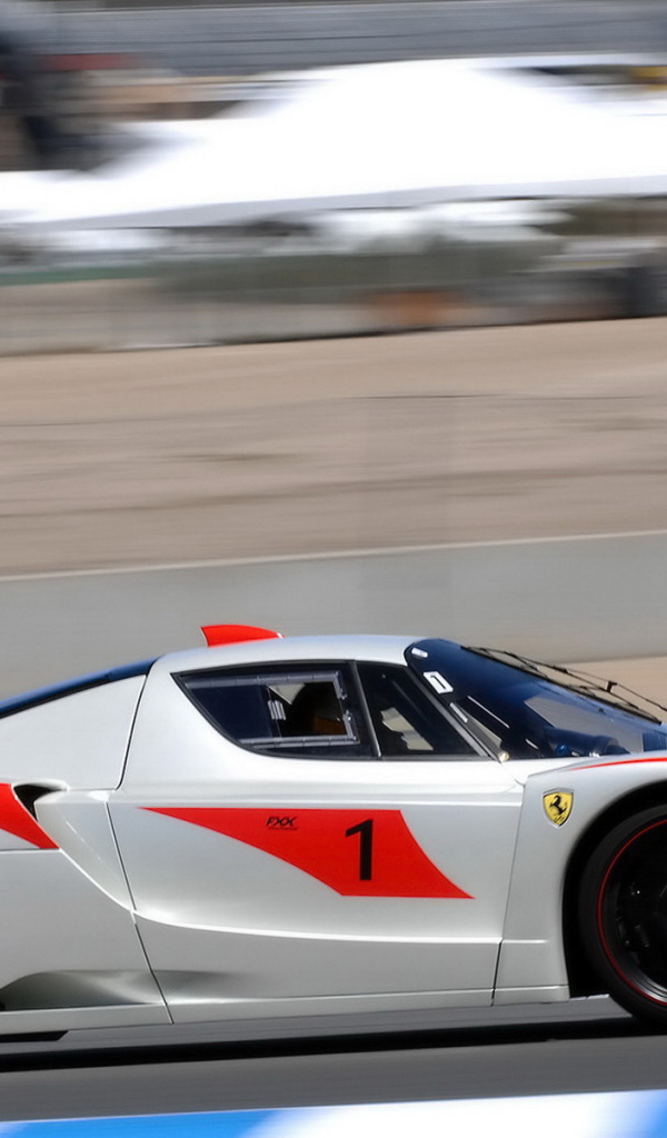 Феррари FXX на гонке