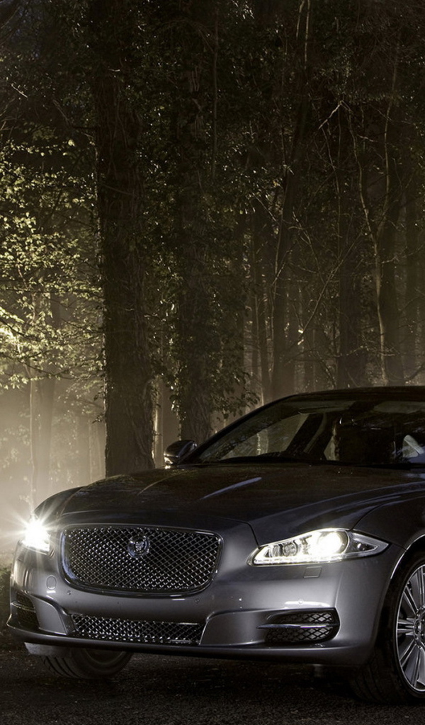 Jaguar XJ в лесу
