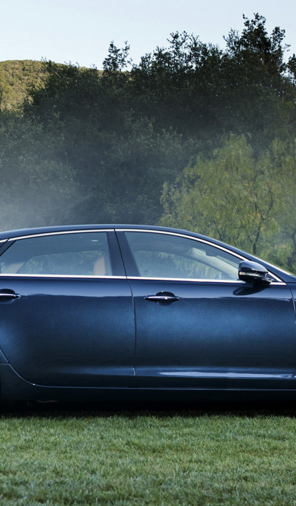 Ягуар XJ в лесу