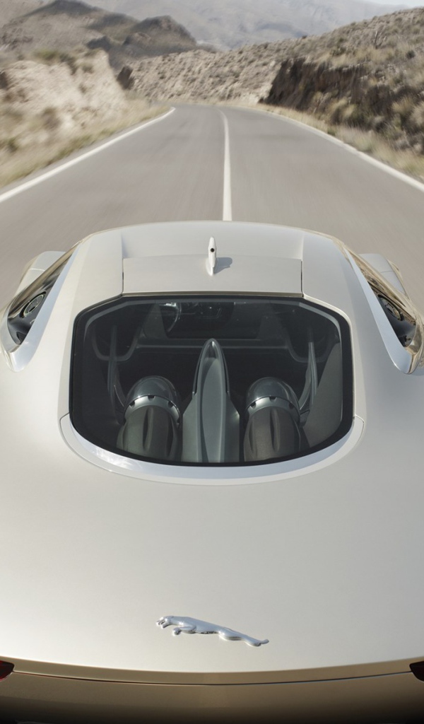 Спортивный ягуар 2011