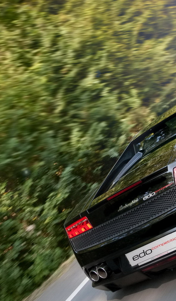 Edo Competition Lamborghini Gallardo LP600