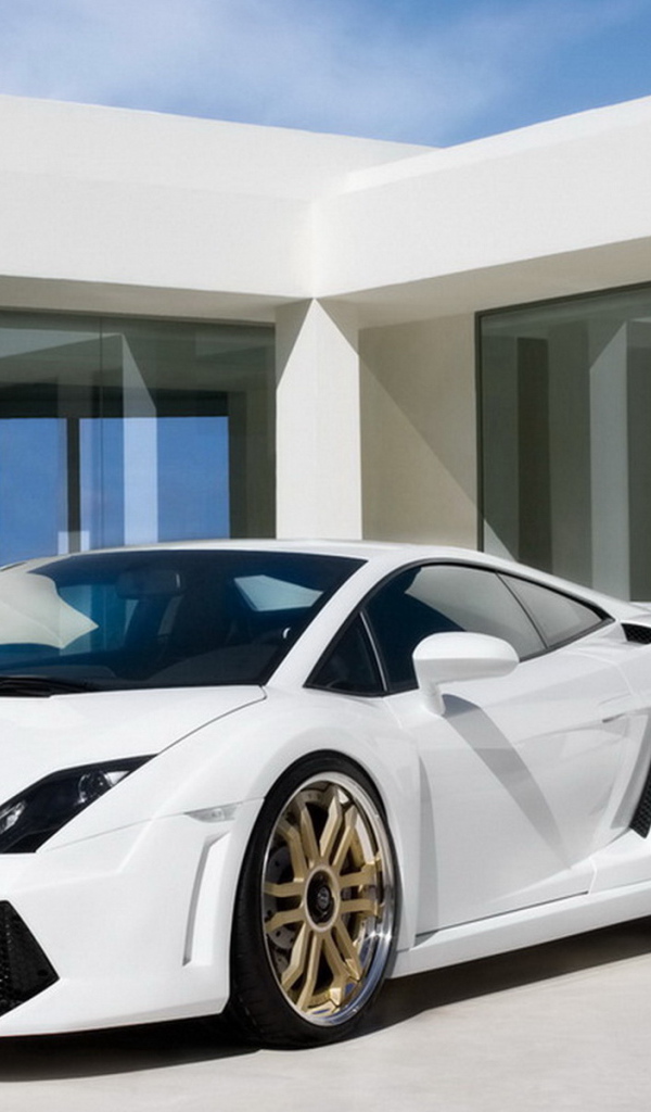 IMSA Lamborghini Gallardo LP-560